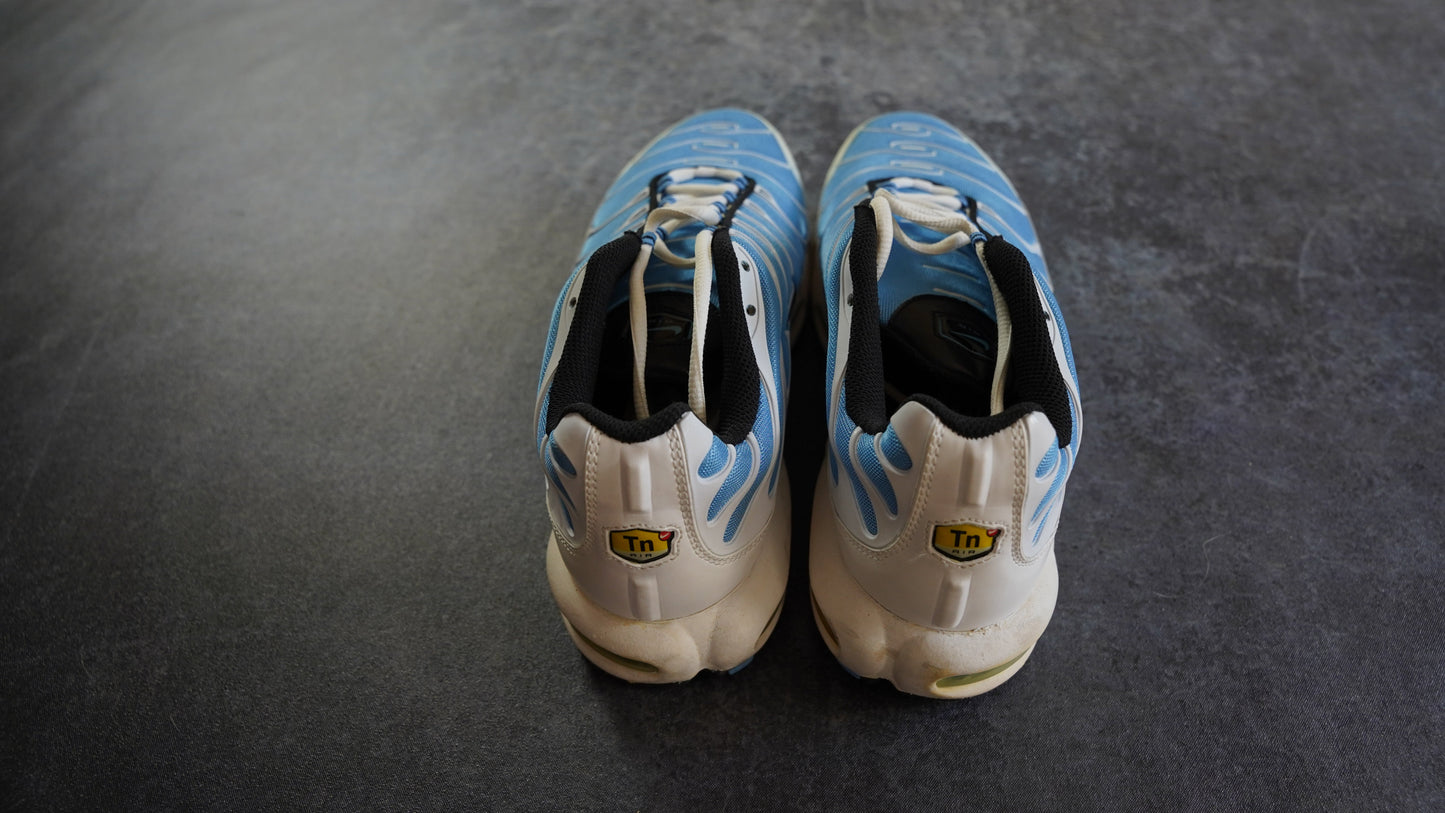 Nike TN Air Max Plus Sky Blue (44.5)