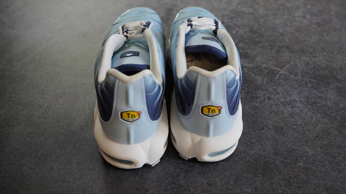 Nike TN Air Max Plus 'University Blue' (45.5)