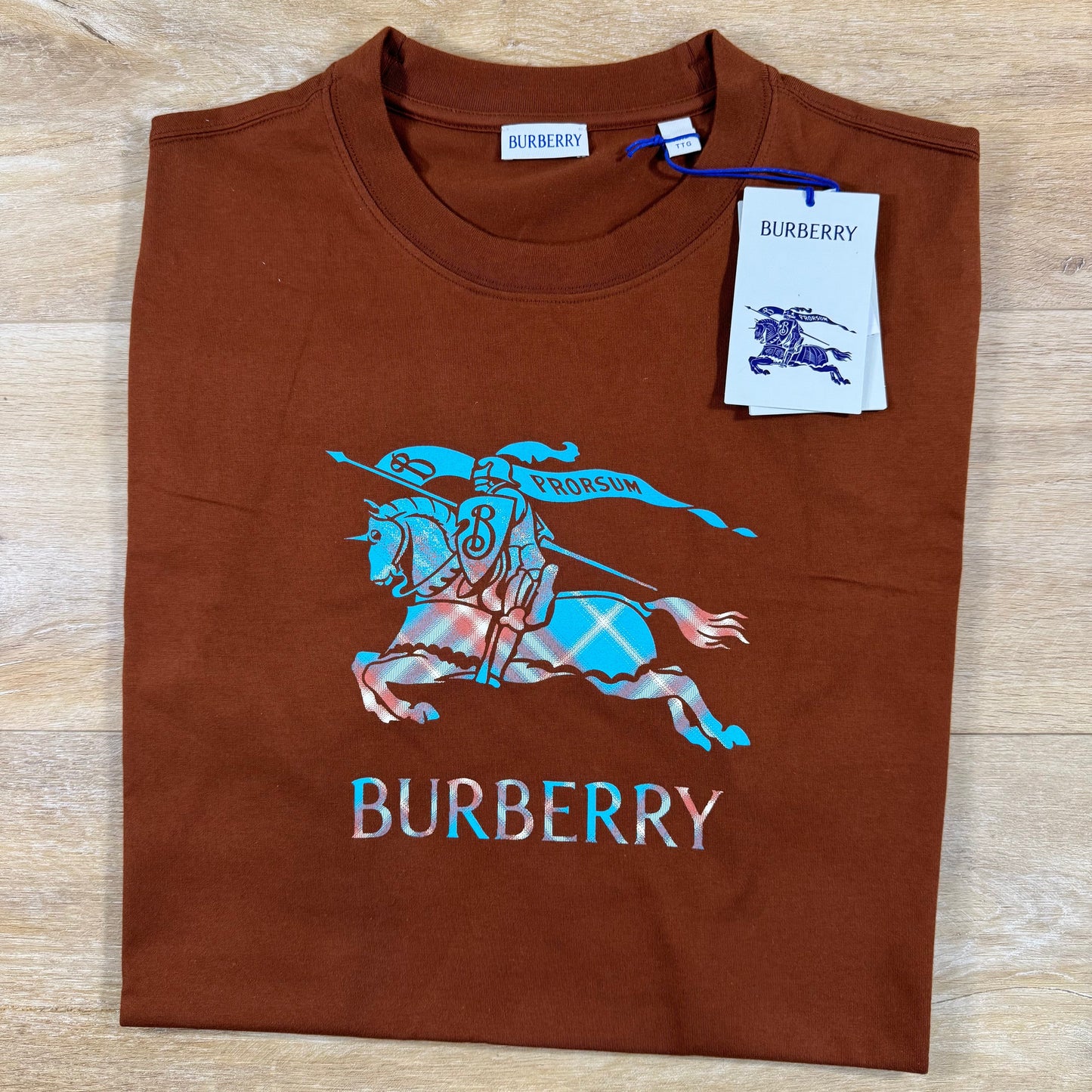 Burberry EKD Ombre T-Shirt in Ginger Brown