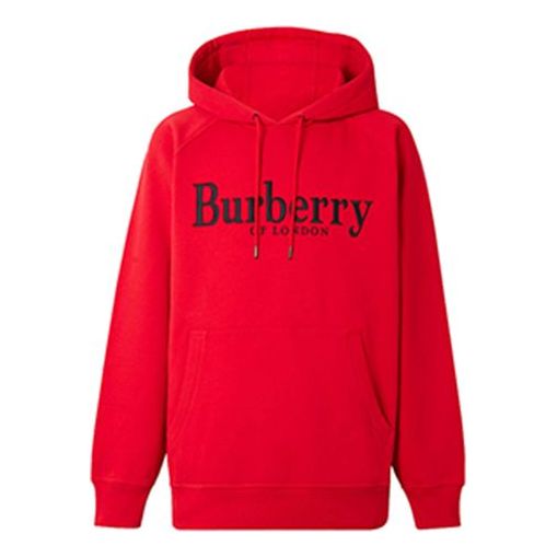 Burberry Logo 8007833