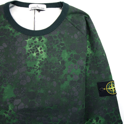 Stone Island Alligator Sweatshirt Green