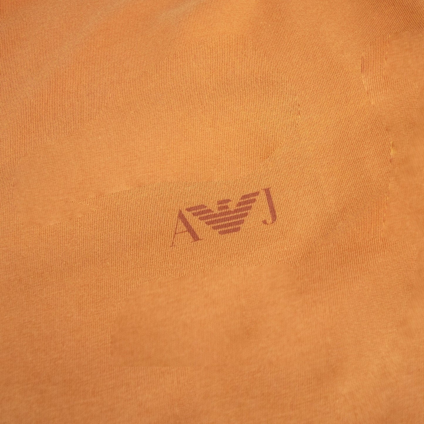 Armani Jeans Aj Eagle Logo Printed T Shirt Albicocca