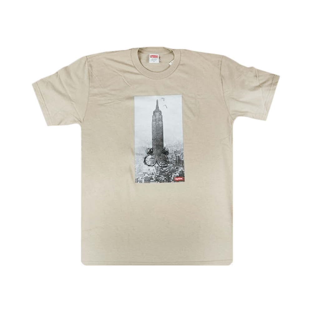 SUPREME MIKE KELLEY EMPIRE STATE CLAY