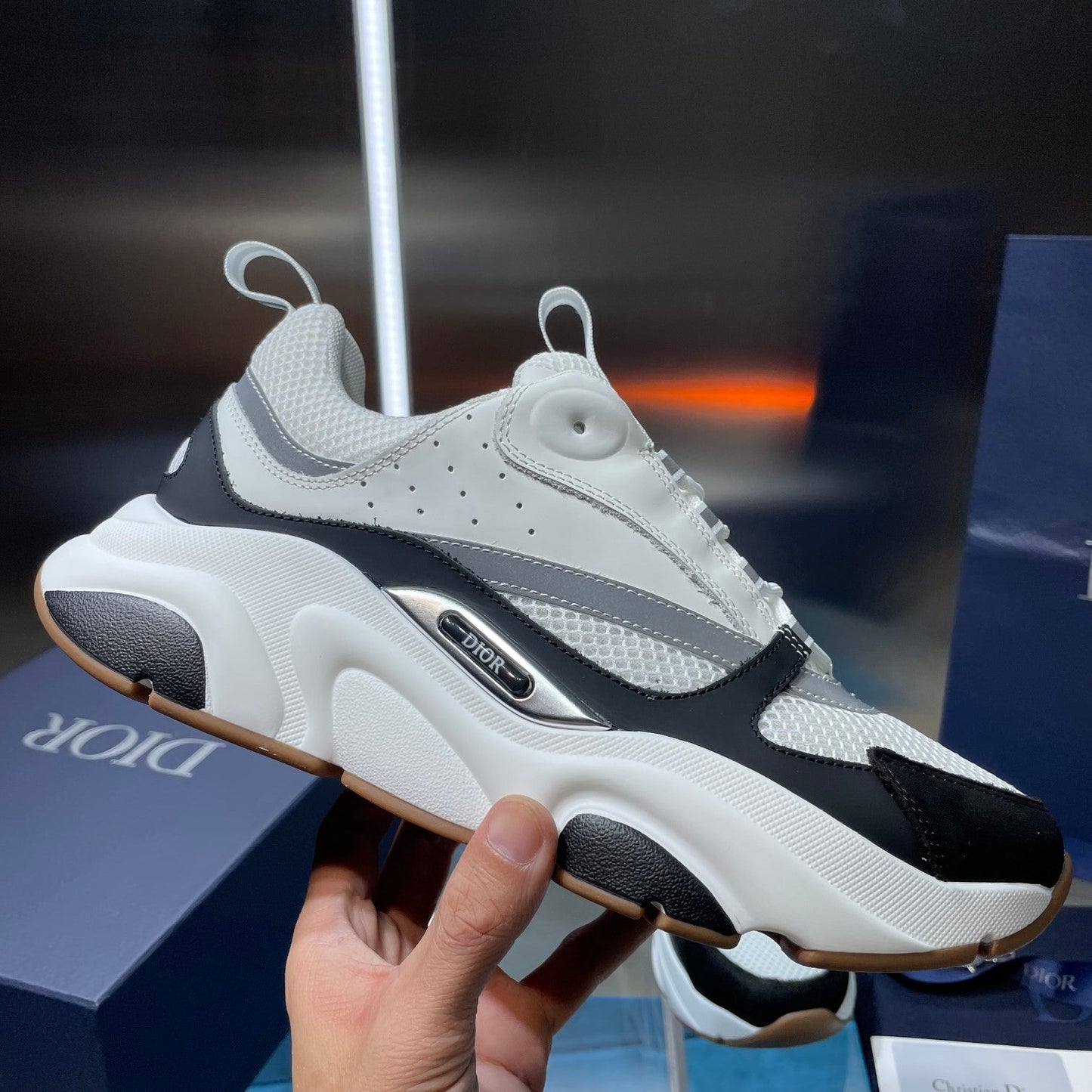 Dior b22