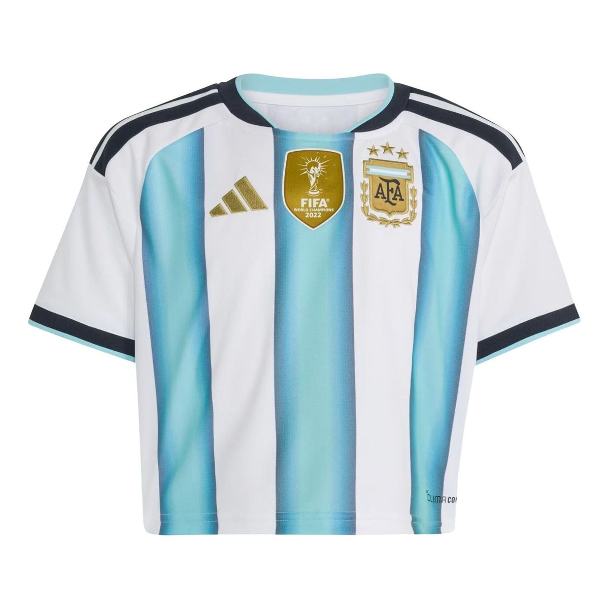 (WMNS) adidas Argentina 26 Home Cropped Jersey Asia Sizing 'White Icey Blue Light Blue' KE5982