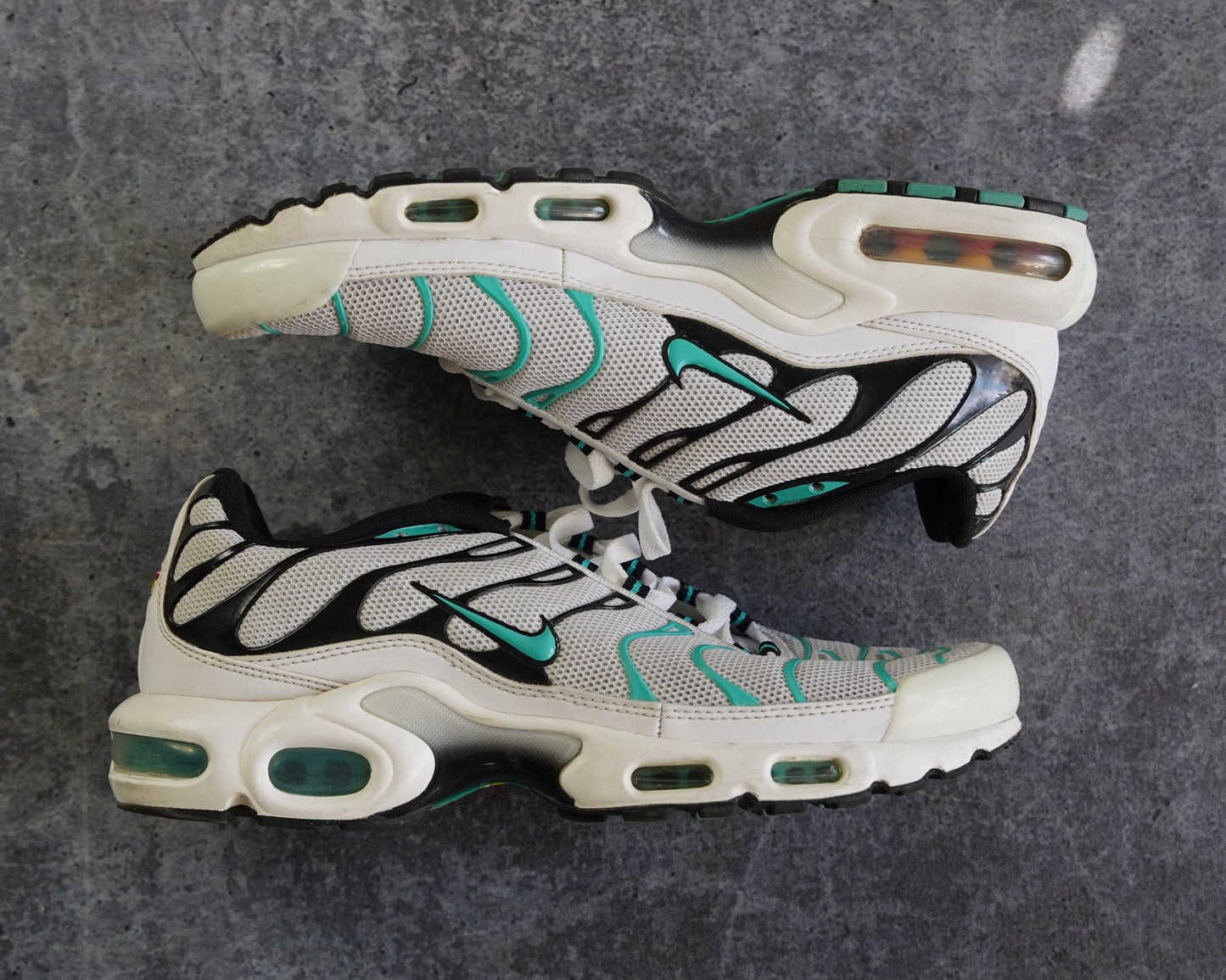 Nike TN Air Max Plus (43)