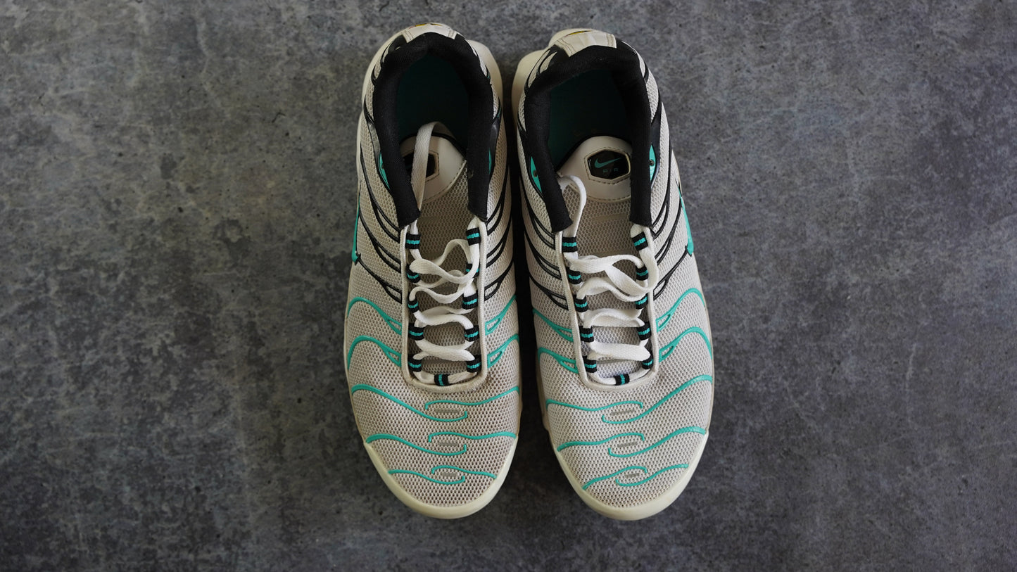 Nike TN Air Max Plus (43)
