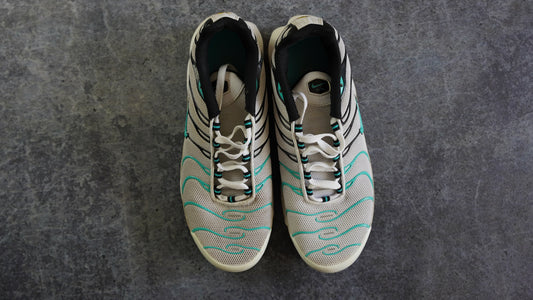 Nike TN Air Max Plus (43)