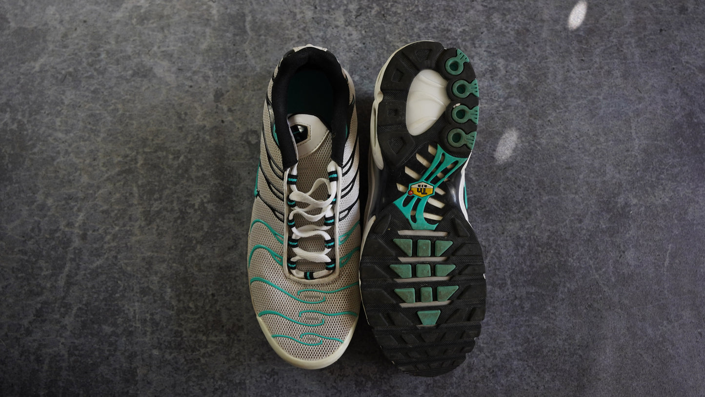 Nike TN Air Max Plus (43)