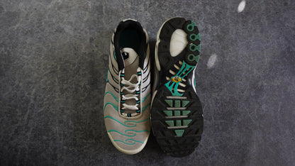 Nike TN Air Max Plus (43)