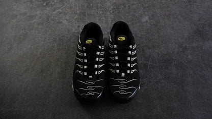 Nike TN Airmax Plus (42)
