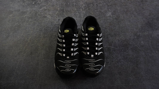Nike TN Airmax Plus (42)