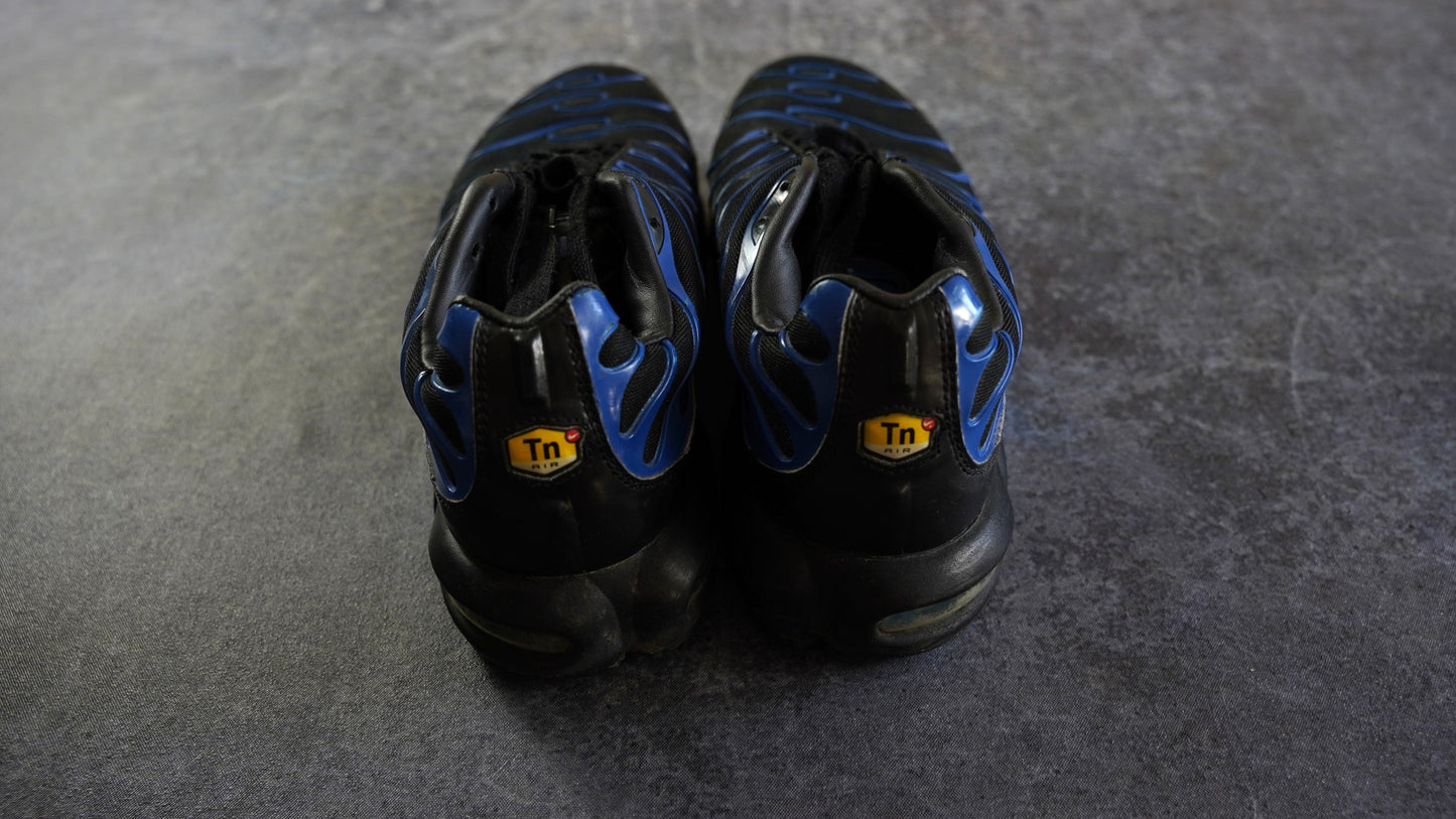 Nike TN Air Max Plus (44)