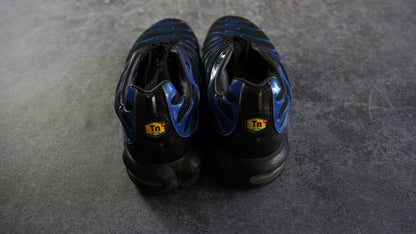 Nike TN Air Max Plus (44)