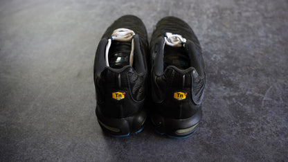 Nike TN Air Max Plus (44.5)