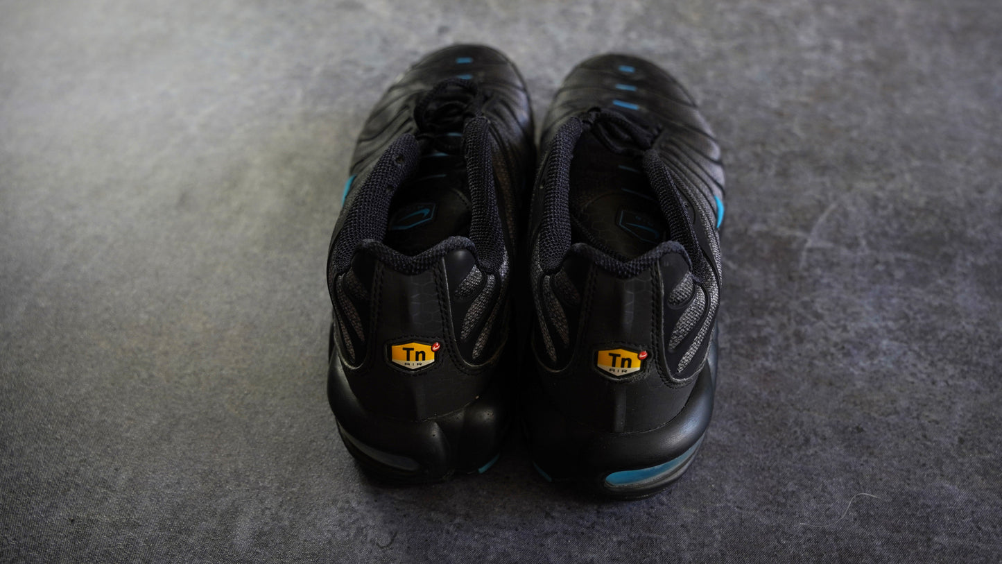 Nike TN Air Max Plus 'Black Hex' (43)