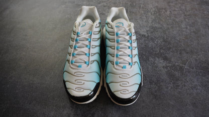 Nike TN Air Max Plus 'Baltic Blue' (47.5)