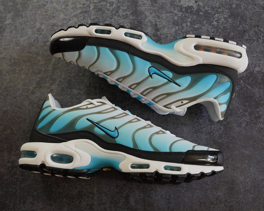 Nike TN Air Max Plus 'Baltic Blue' (47.5)