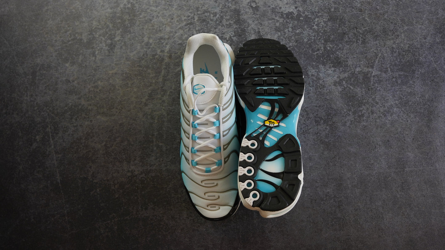 Nike TN Air Max Plus 'Baltic Blue' (47.5)