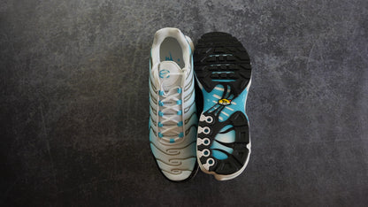 Nike TN Air Max Plus 'Baltic Blue' (47.5)