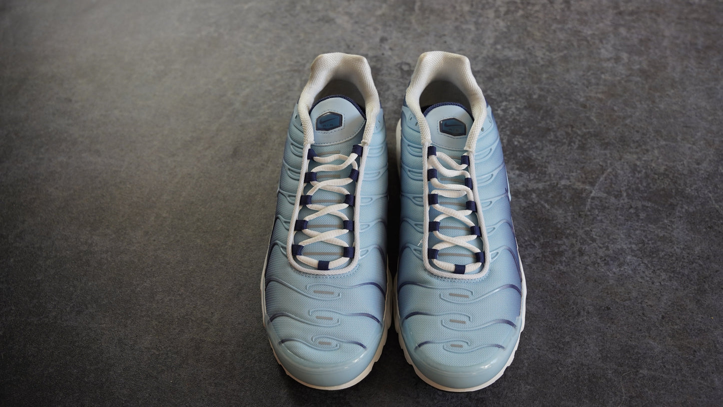 Nike TN Air Max Plus 'University Blue' (45.5)