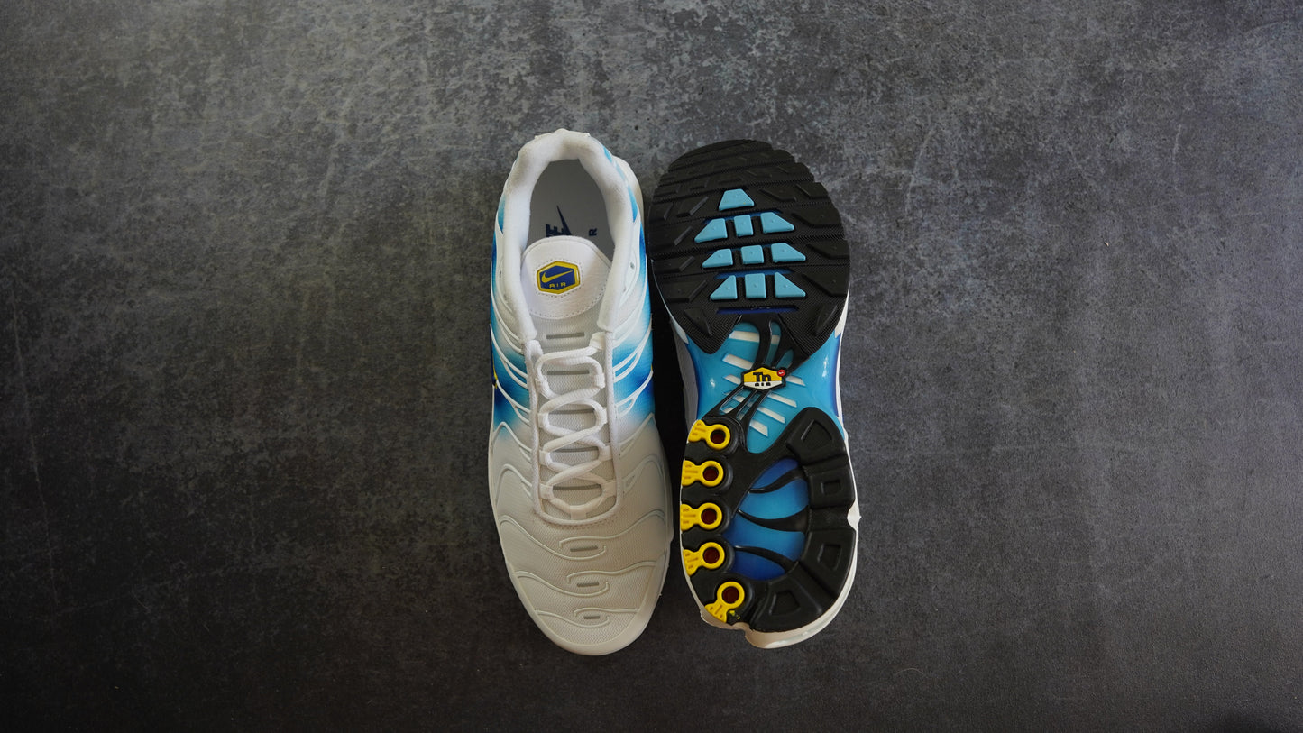 Nike TN Air Max Plus Spray Paint Swoosh White Blue (44)