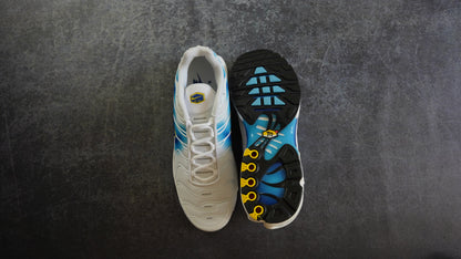 Nike TN Air Max Plus Spray Paint Swoosh White Blue (44)