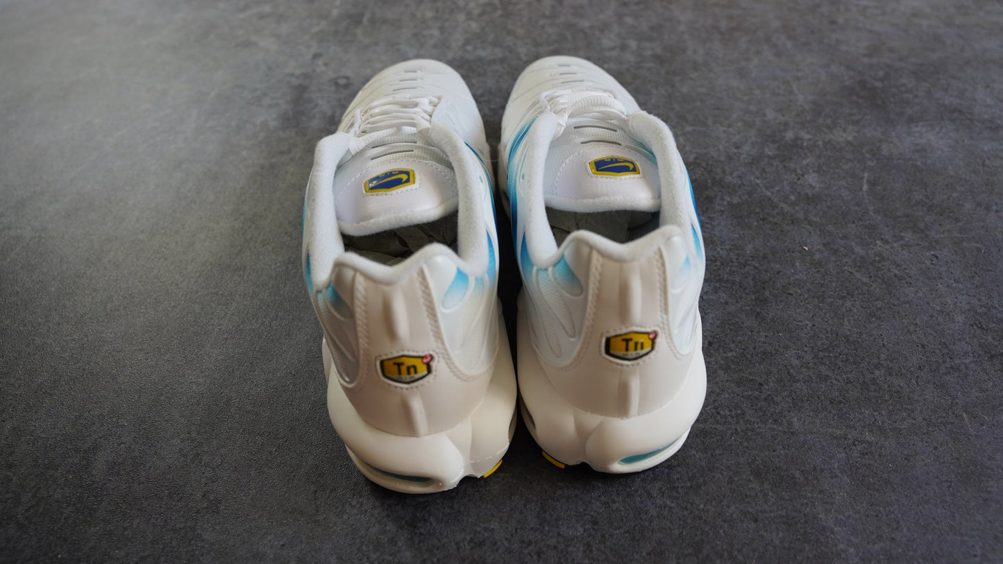 Nike TN Air Max Plus Spray Paint Swoosh White Blue (44)