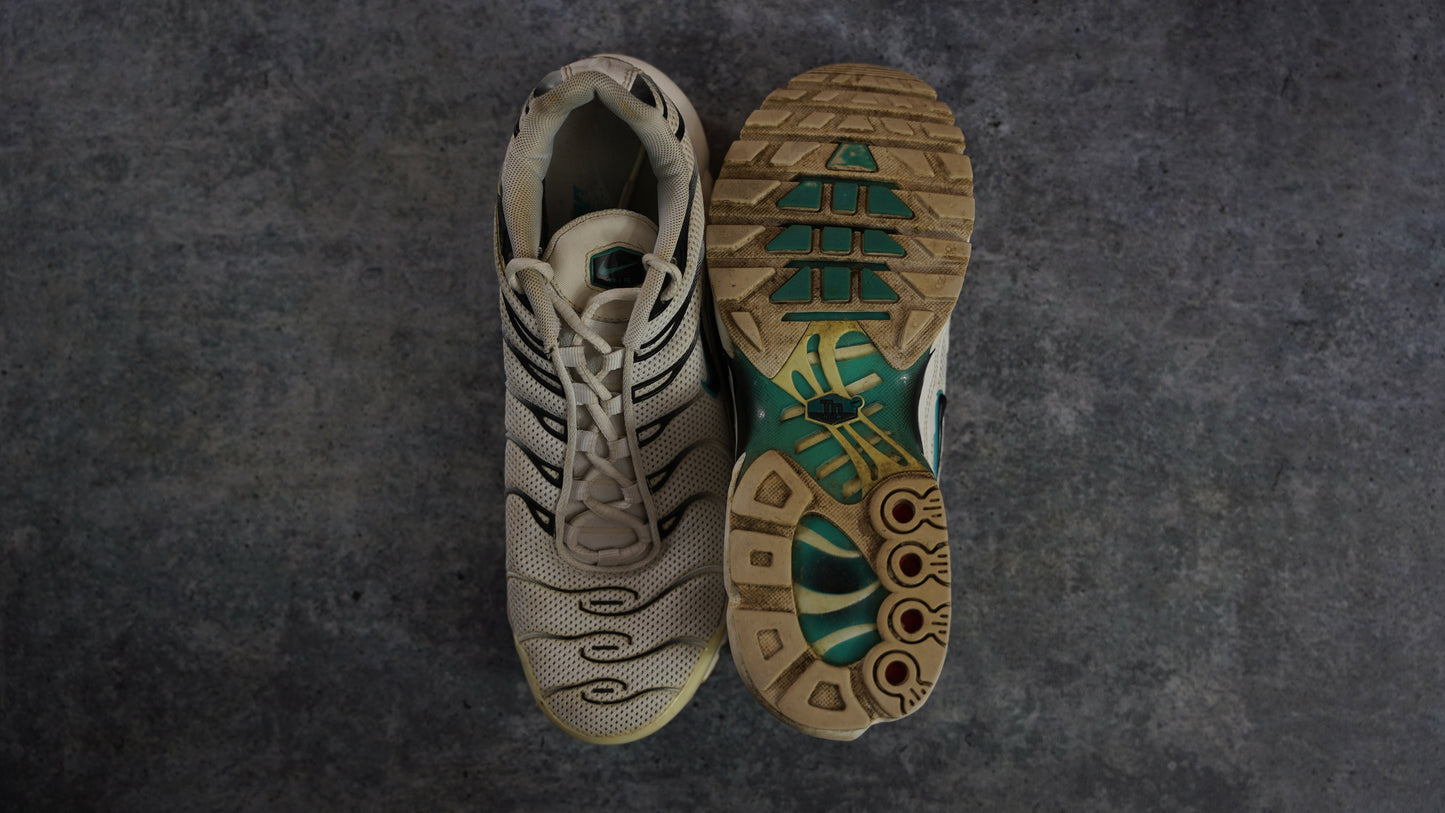 Nike TN Air Max Plus 'Dusty Cactus' (43)