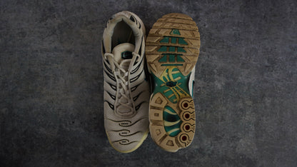 Nike TN Air Max Plus 'Dusty Cactus' (43)