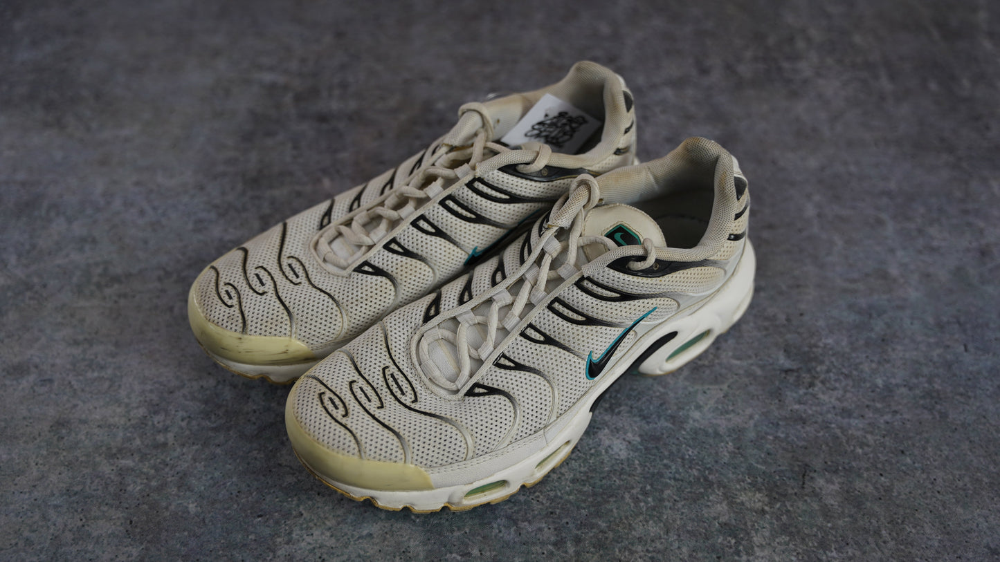 Nike TN Air Max Plus 'Dusty Cactus' (43)