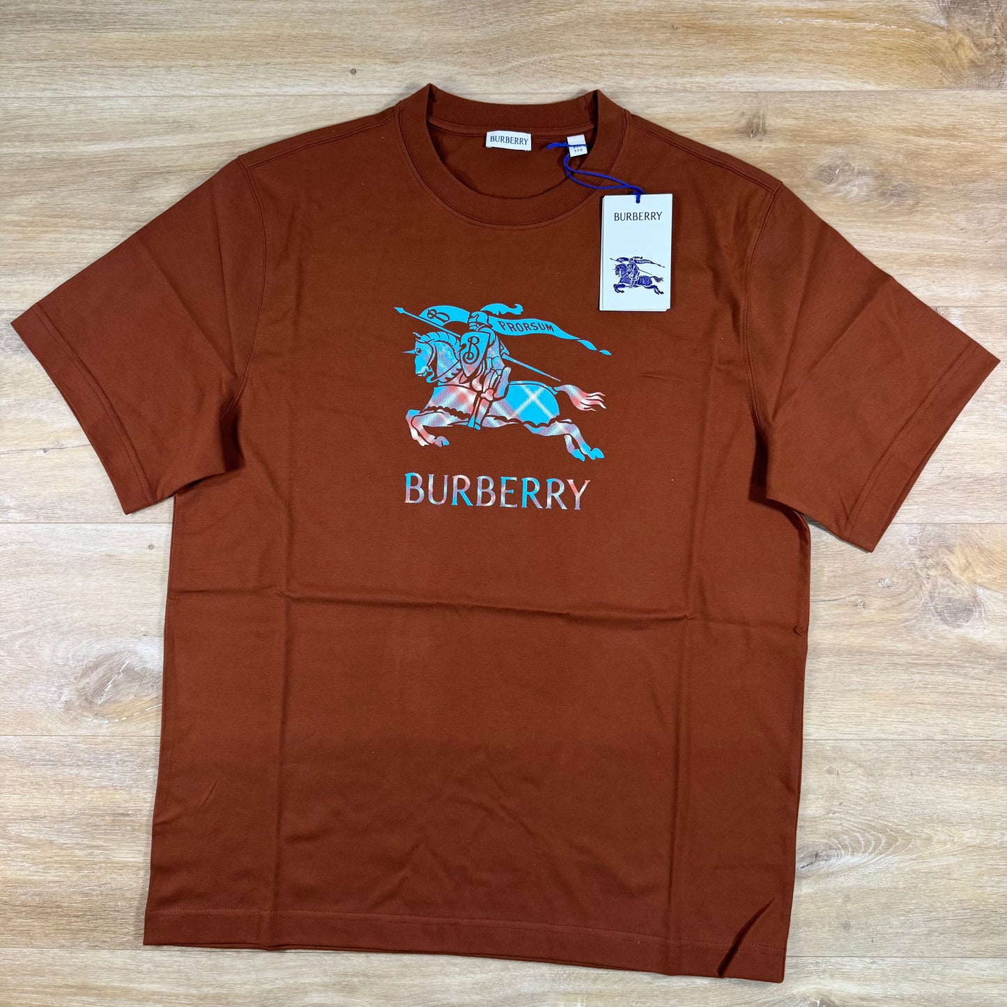 Burberry EKD Ombre T-Shirt in Ginger Brown