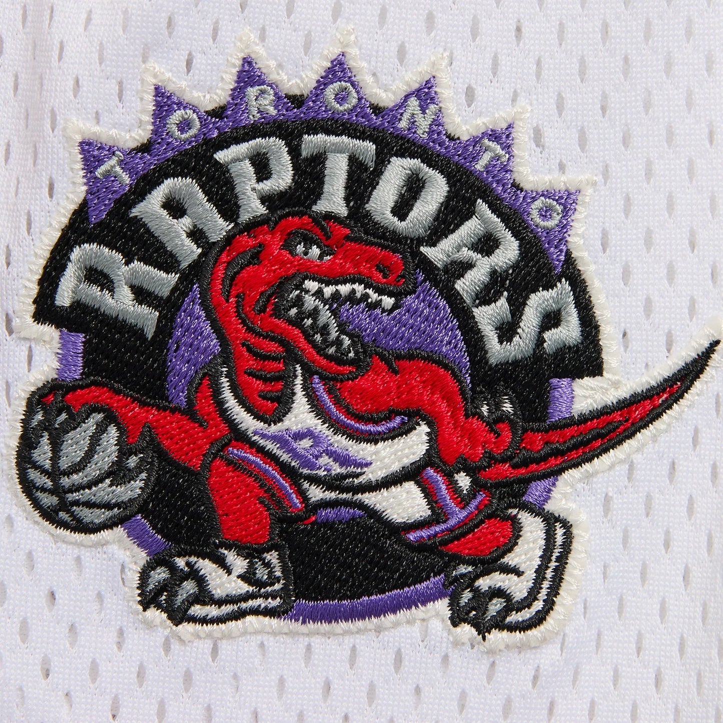 Kith x Toronto Raptors Mesh Shorts