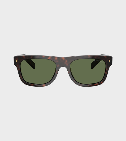 0PR B12S Root Tortoise/Polar Green