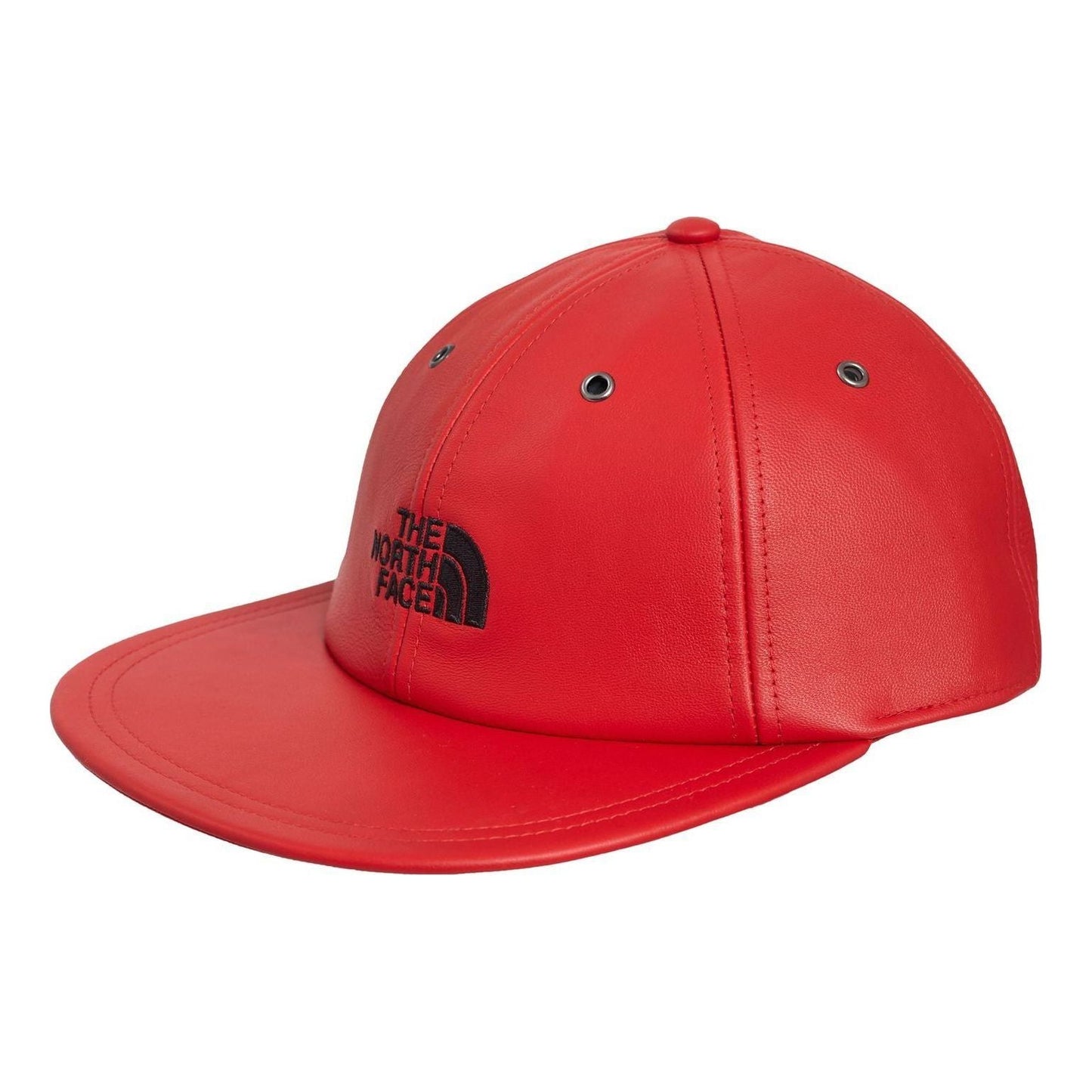 Supreme FW18 The North Face Leather 6-Panel Cap 'Red' SUP-FW18-609