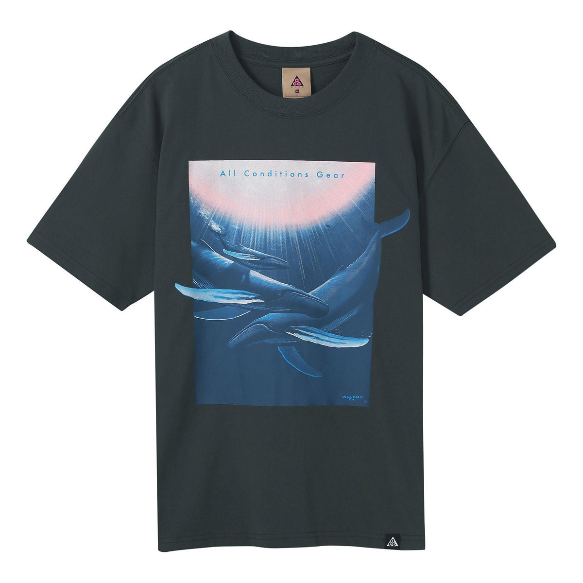 Nike x ACG Wyland Funny Printing Sports Loose Round Neck Short Sleeve Black Gray Blackgray DC5359-070