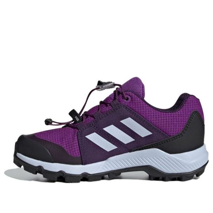 (GS) adidas Terrex Gtx 'Purple' BC0600