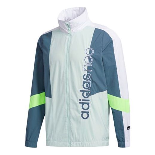 Men's adidas neo SS TT / WB Sports Dotted Green Jacket FN6528