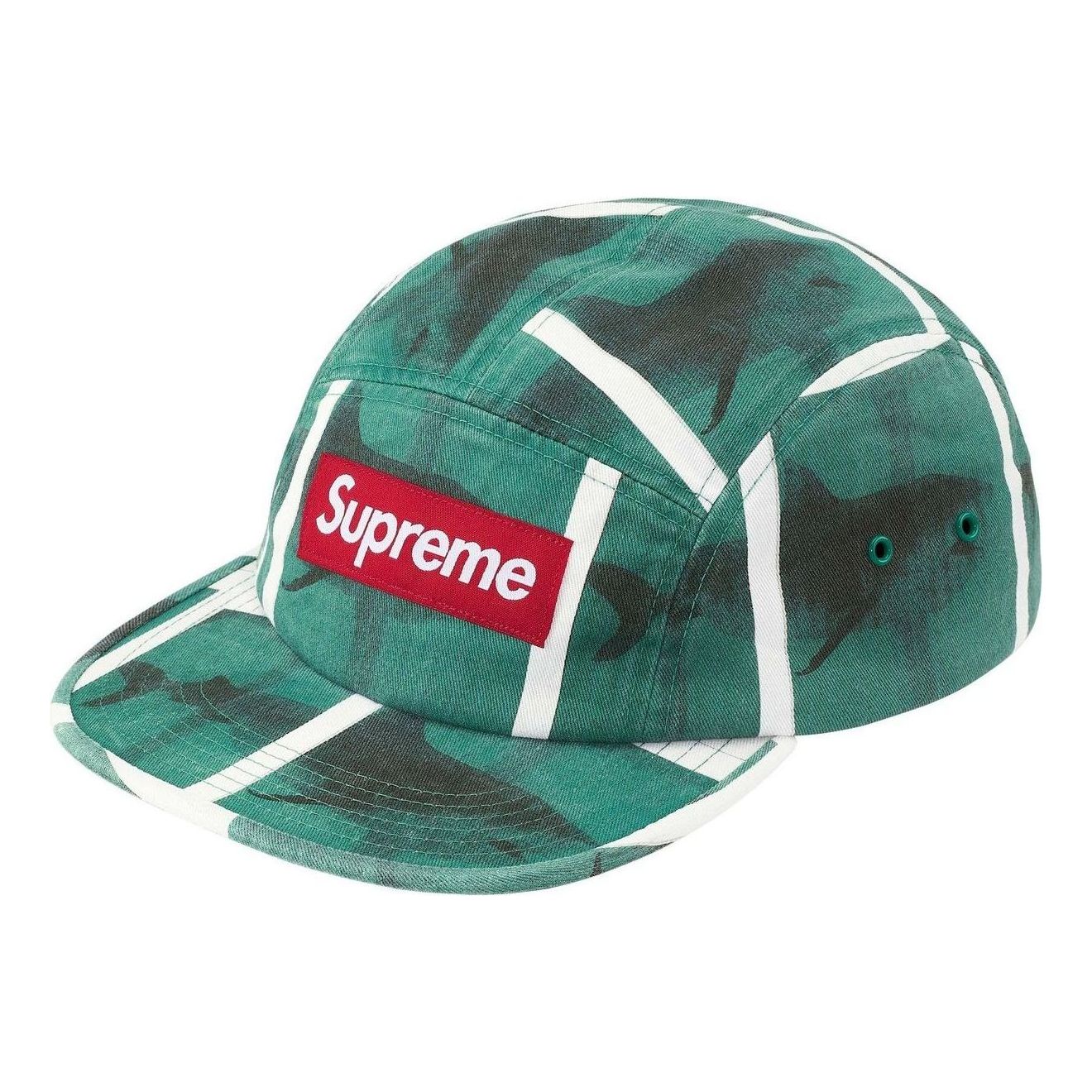 Supreme x Damien Hirst Camp Cap 'White' SS25H79-WHITE
